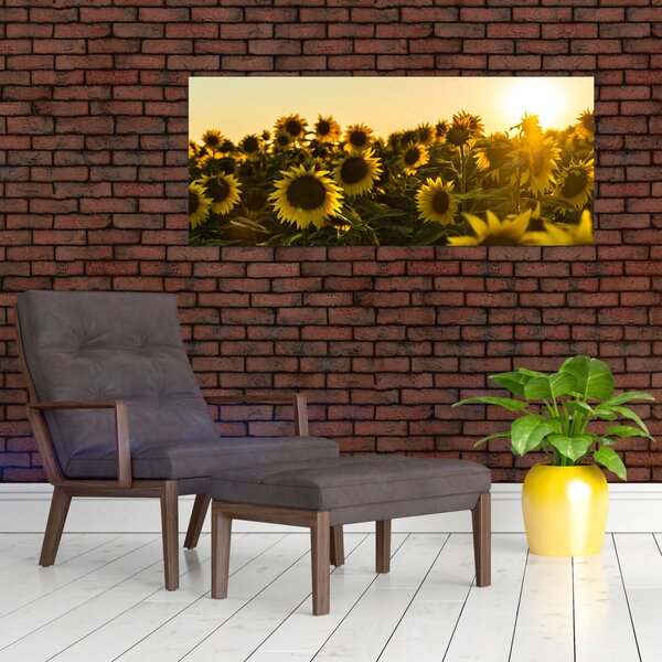 Slika polja suncokreta (120x50 cm)