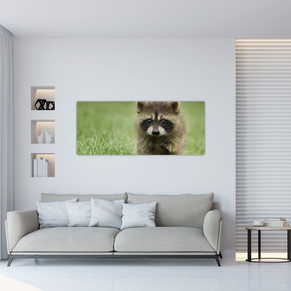 Slika rakuna (120x50 cm)
