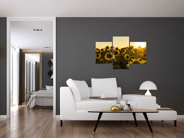 Slika polja suncokreta (90x60 cm)