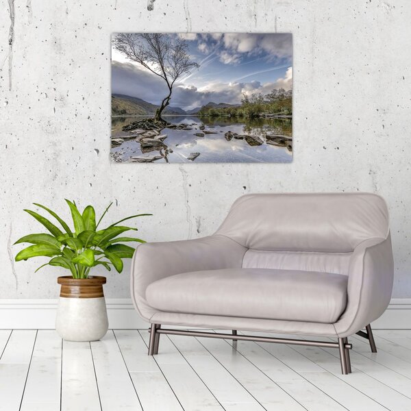 Slika rijeke sa stablom (70x50 cm)