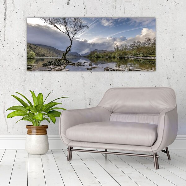 Slika rijeke sa stablom (120x50 cm)