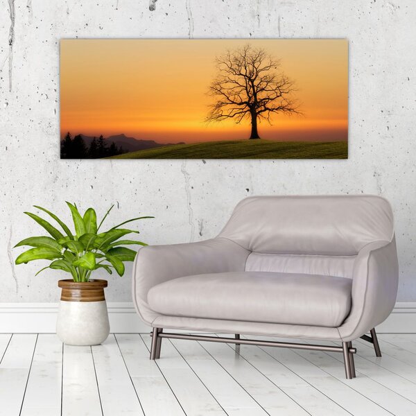 Slika zalaska sunca na livadi (120x50 cm)