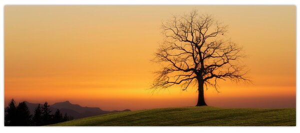 Slika zalaska sunca na livadi (120x50 cm)