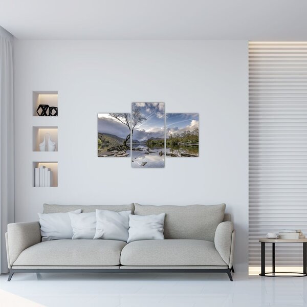 Slika rijeke sa stablom (90x60 cm)