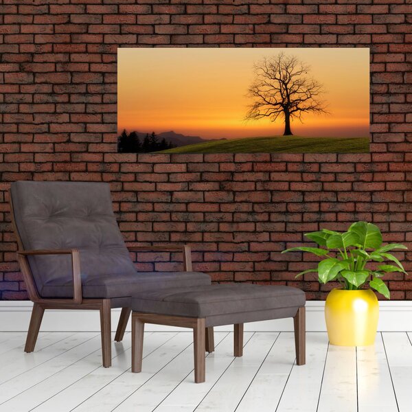 Slika zalaska sunca na livadi (120x50 cm)