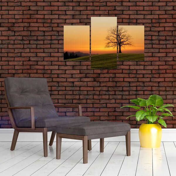 Slika zalaska sunca na livadi (90x60 cm)