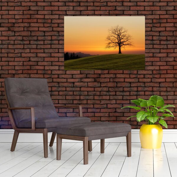 Slika zalaska sunca na livadi (90x60 cm)