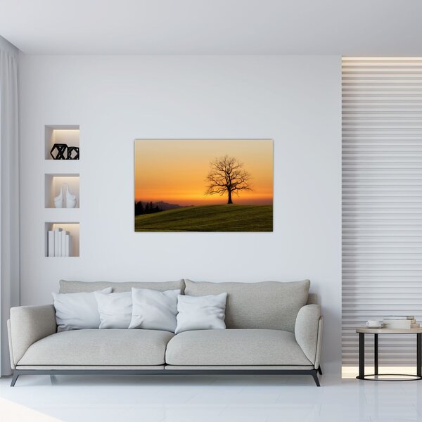 Slika zalaska sunca na livadi (90x60 cm)