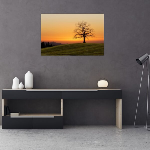 Slika zalaska sunca na livadi (90x60 cm)