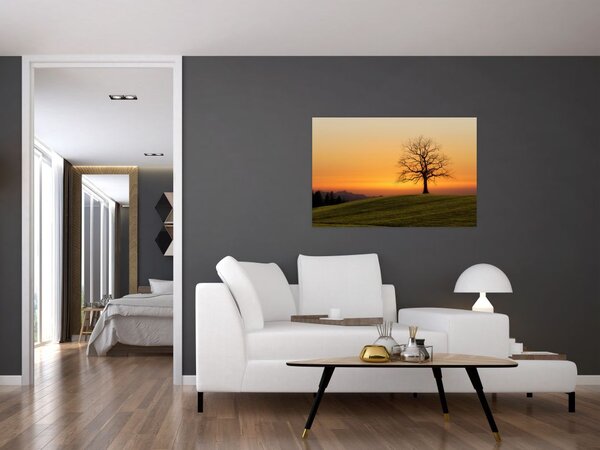 Slika zalaska sunca na livadi (90x60 cm)