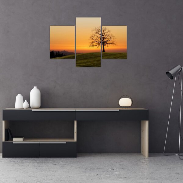 Slika zalaska sunca na livadi (90x60 cm)