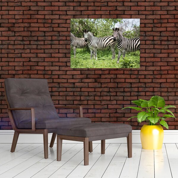 Slika sa zebrama (70x50 cm)