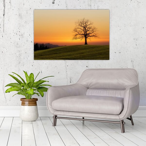 Slika zalaska sunca na livadi (90x60 cm)