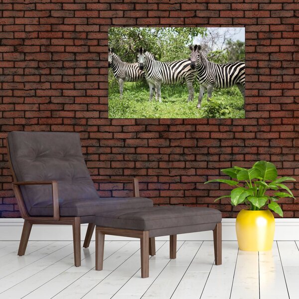 Slika sa zebrama (90x60 cm)