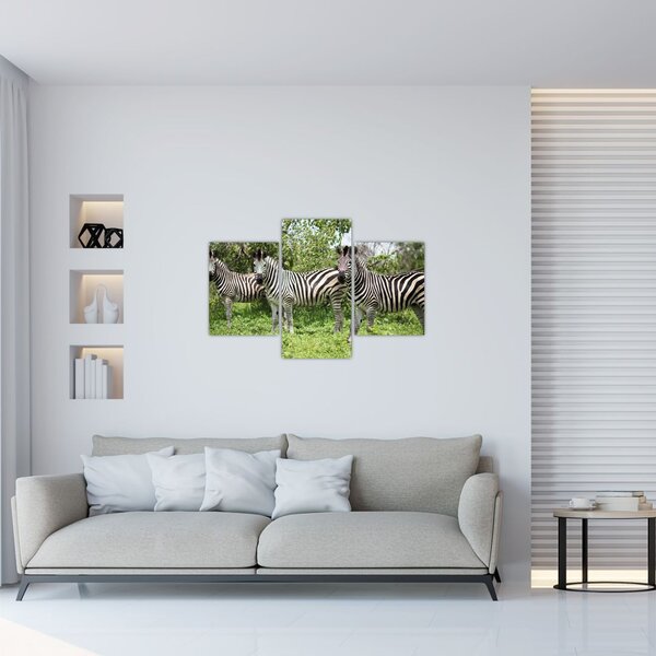 Slika sa zebrama (90x60 cm)