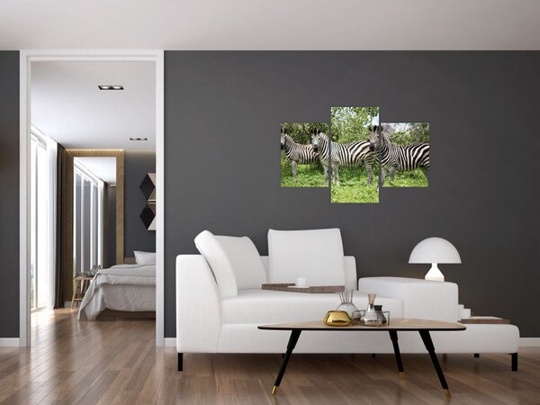 Slika sa zebrama (90x60 cm)