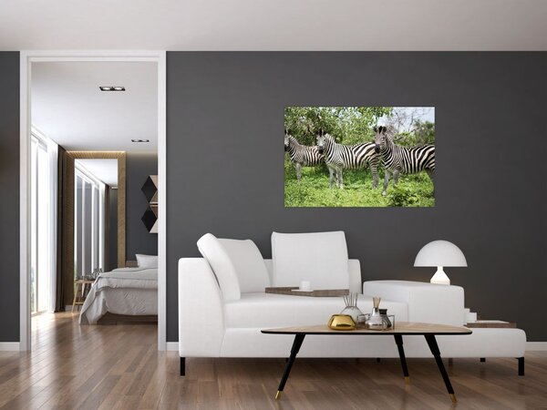 Slika sa zebrama (90x60 cm)