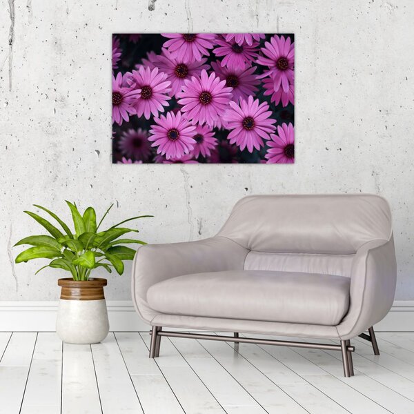 Slika ružičastog cvijeća (70x50 cm)