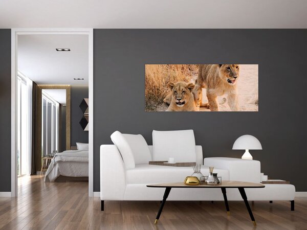 Slika mladunaca lavova (120x50 cm)