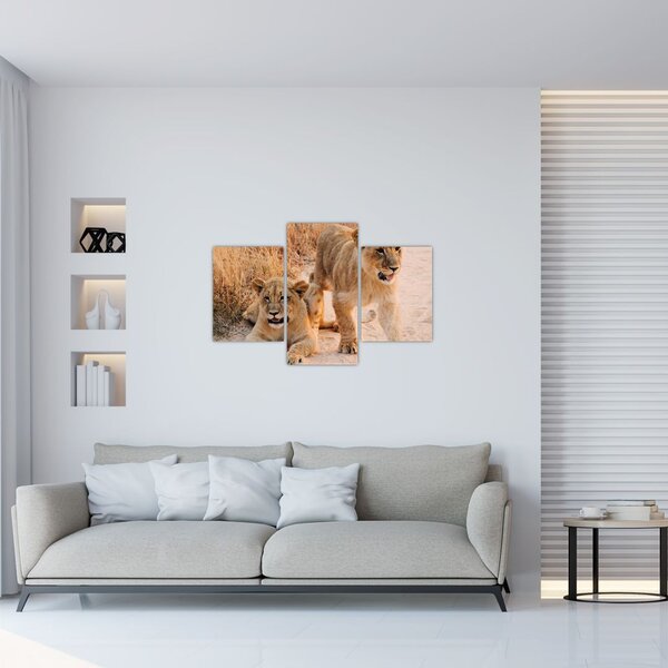 Slika mladunaca lavova (90x60 cm)