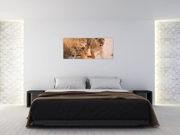 Slika mladunaca lavova (120x50 cm)