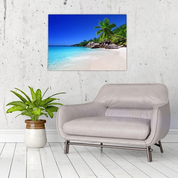 Slika plaže na otoku Praslin (70x50 cm)