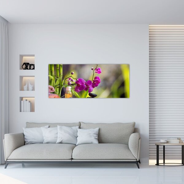 Slika - toplice i kamenje (120x50 cm)