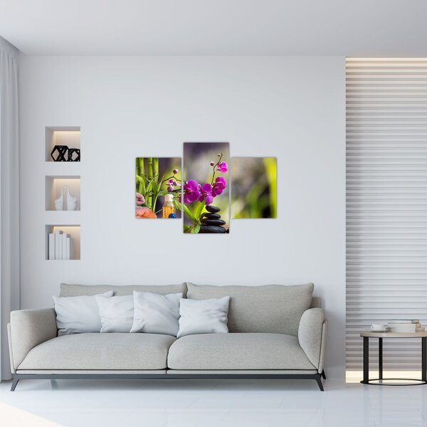 Slika - toplice i kamenje (90x60 cm)