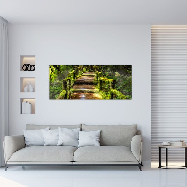 Slika stepenica u prašumi (120x50 cm)