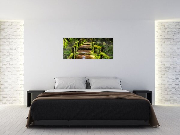 Slika stepenica u prašumi (120x50 cm)