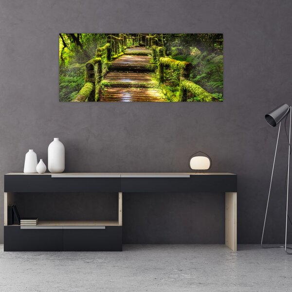 Slika stepenica u prašumi (120x50 cm)