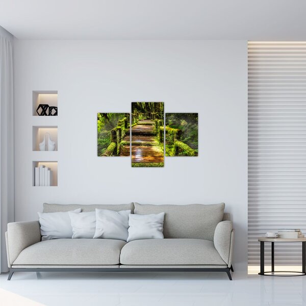 Slika stepenica u prašumi (90x60 cm)