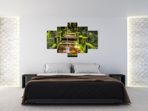 Slika stepenica u prašumi (150x105 cm)