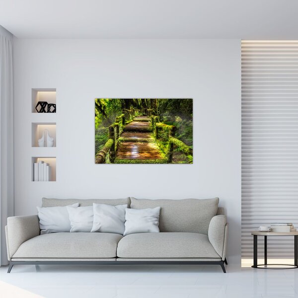 Slika stepenica u prašumi (90x60 cm)