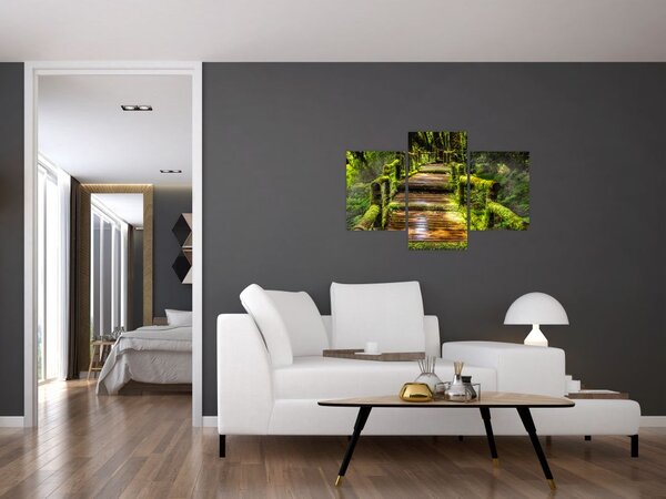 Slika stepenica u prašumi (90x60 cm)
