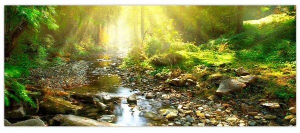 Slika rijeke u zelenoj šumi (120x50 cm)