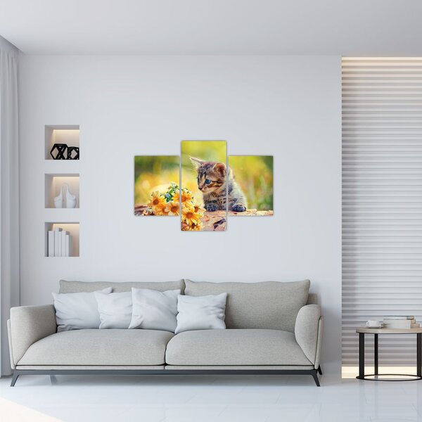 Slika mačića koji gleda cvijet (90x60 cm)