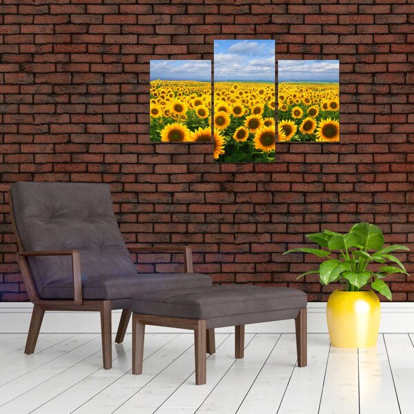 Slika polja suncokreta (90x60 cm)