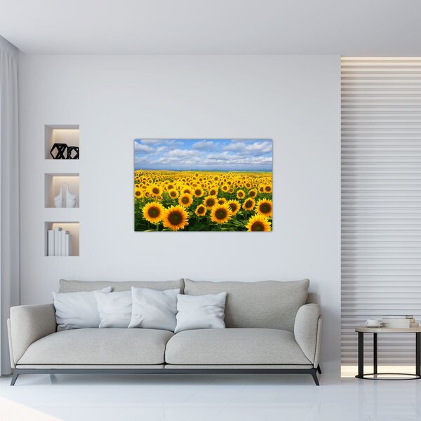 Slika polja suncokreta (90x60 cm)
