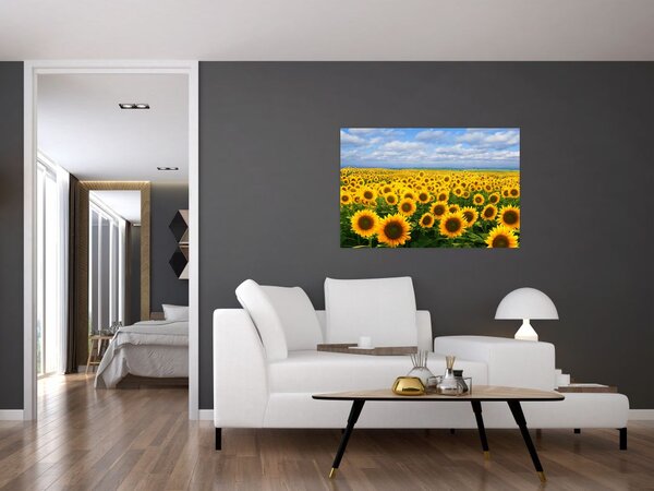 Slika polja suncokreta (90x60 cm)