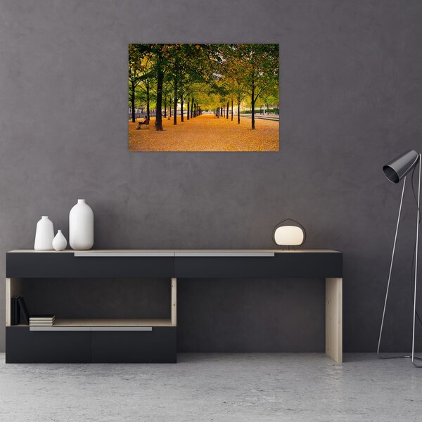 Slika aleje jesenskih stabala (70x50 cm)
