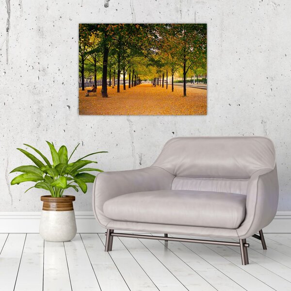 Slika aleje jesenskih stabala (70x50 cm)