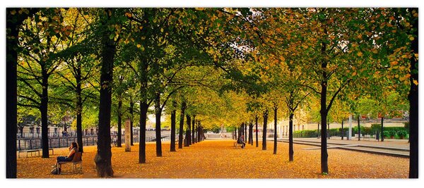 Slika aleje jesenskih stabala (120x50 cm)