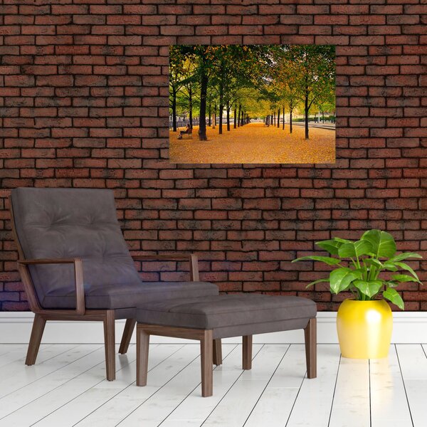 Slika aleje jesenskih stabala (70x50 cm)