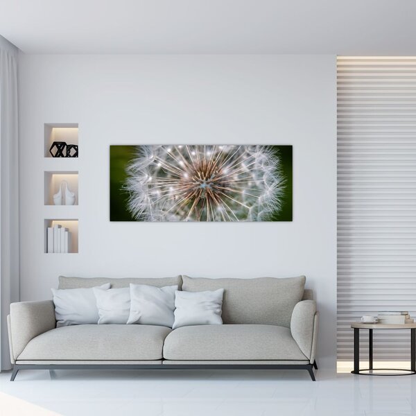 Slika maslačka (120x50 cm)