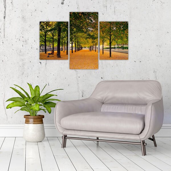 Slika aleje jesenskih stabala (90x60 cm)