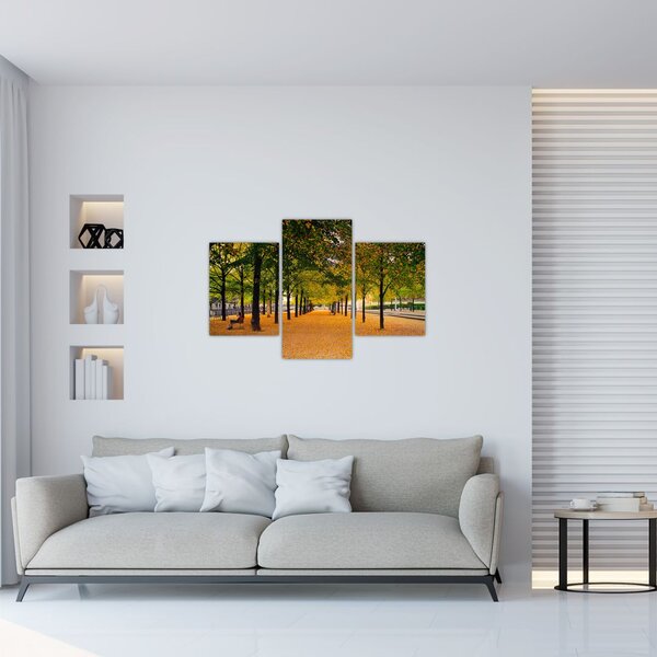 Slika aleje jesenskih stabala (90x60 cm)