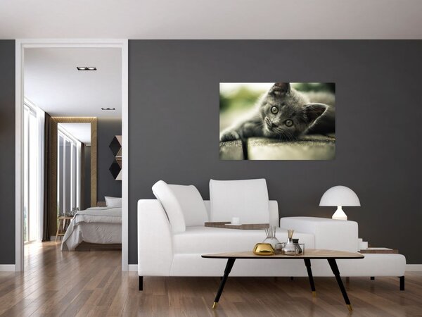 Slika mačića (90x60 cm)