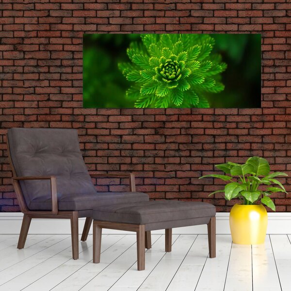 Slika četinjača (120x50 cm)