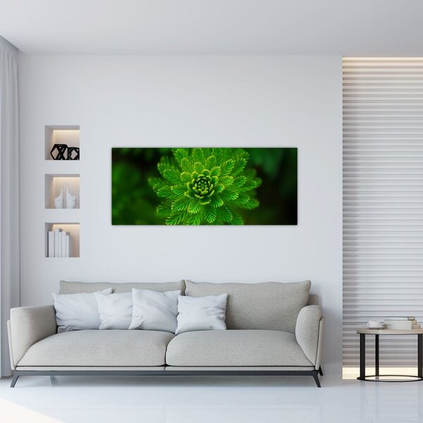 Slika četinjača (120x50 cm)